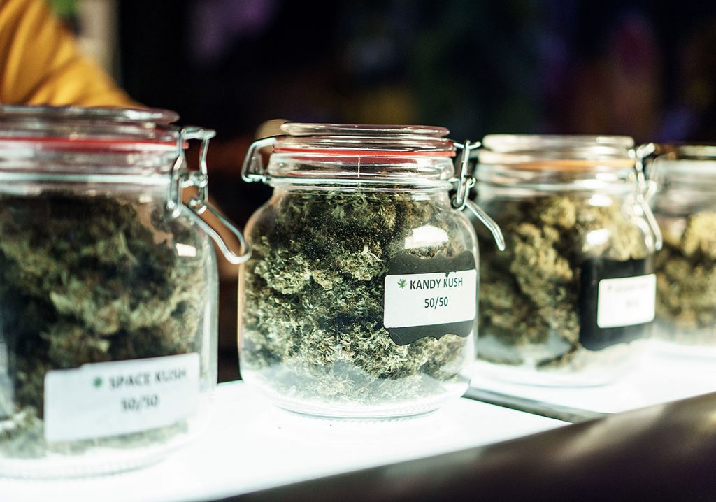 Helpful Tips to Choose the Right Cannabis Strain for Your Needs